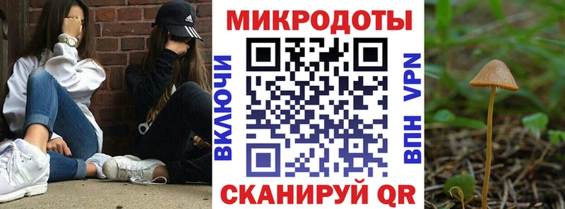 Галлюциногенные грибы Psilocybine cubensis  площадка официальный сайт  Суровикино 